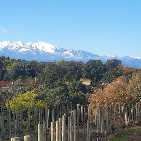 Belle Climatisee Avec Jardin Dans Village Charmand A 10min De La !!! Villa Palau-del-Vidre