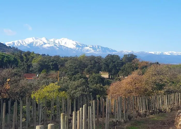 Belle Climatisee Avec Jardin Dans Village Charmand A 10min De La !!! Villa Palau-del-Vidre
